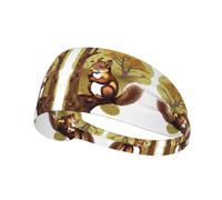 Diadema deportiva elástica con diseño de ardilla que come nueces, adecuada para correr, fitness, tenis, yoga