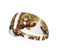 Diadema deportiva elástica con estampado de ardilla que come nueces, adecuada para deportes, viajes y fitness en interiores