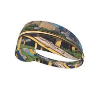 Diadema deportiva elástica para el pelo YYHWHJDE de dibujos animados de Austin Texas, suave, transpirable, de secado rápido