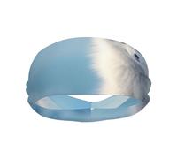 Diadema Deportiva Fox in The Snow, Unisex, Transpirable, para Gimnasio, Baloncesto, fútbol, Voleibol, Correr, Ciclismo y Yoga.