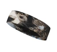 Diadema Deportiva Pastor Border Collie para Hombres y Mujeres, Diadema Transpirable para Entrenamientos, Ideal para Hacer Ejercicio, Tenis, Baloncesto y Correr.