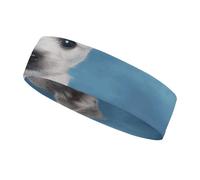 Diadema Deportiva Puppy Blue Rose para Hombres y Mujeres, Diadema Transpirable para Entrenamientos, Ideal para Hacer Ejercicio, Tenis, Baloncesto y Correr.