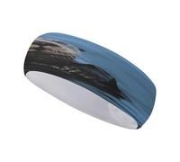 Diadema Sea Otter(1) elástica Antideslizante para Mujer, Accesorios de Moda, Cintas para el Cabello para Entrenamiento Diario, Yoga, Correr y Deportes.