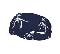 Diademas Blue Dinosaur2 para Entrenamiento para Mujer, Cintas Deportivas Antideslizantes para el Cabello