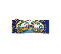 Diademas con estampado de bandera de New Hampshire, suaves, elásticas, bonitos lazos para el pelo para bebés de 0 a 6 meses