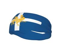 Diademas con la bandera de The Dalles para hombre y mujer, antideslizantes, absorbentes, deportivas, para gimnasio, baloncesto, yoga