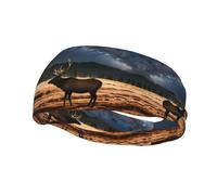 Diademas decorativas deportivas de moda con diseño de YYHWHJDE Elk in the Meadow para hombres y mujeres