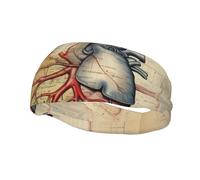 Diademas decorativas deportivas de moda para el sudor FUUNTL anatomía humana con gráfico de corazón para hombres y mujeres