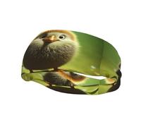 Diademas decorativas para el sudor YYHWHJDE kiwi Bird Cute Pattern para hombres y mujeres