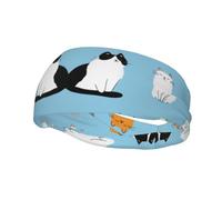 Diademas Deportivas Cat Blue para Mujer, Antideslizantes, para el Cabello, Que absorben el Sudor, elásticas y Suaves, Ideales para Correr, Viajar y como Accesorio de Moda.