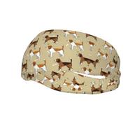 Diademas deportivas con estampado de perros Beagle de dibujos animados para hombres y mujeres, para correr, fitness, yoga, ciclismo, absorbe el sudor, antideslizante