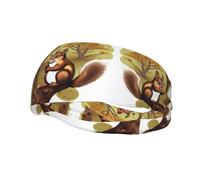 Diademas deportivas de ardilla que come nueces para hombres, absorbe la humedad, diadema de entrenamiento RRXNBCGG, bandas para el sudor para correr, ciclismo, fútbol, diadema para mujeres y hombres