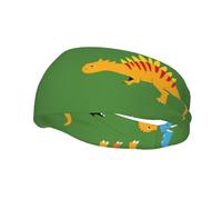 Diademas Dinosaur1 para Mujer, Cintas Deportivas Antideslizantes para el Cabello, Ideales pa