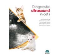 Diagnostic Ultrasound In Cats