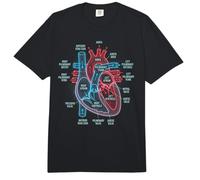Diagrama de anatomía cardíaca Ciencias del Sistema Cardiovascular Comfort Colors Adult Heavyweight T-Shirt