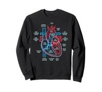 Diagrama de anatomía cardíaca Ciencias del Sistema Cardiovascular Sudadera