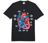 Diagrama de anatomía cardíaca Estudio de biología del Sistema Cardiovascular Comfort Colors Adult Heavyweight T-Shirt