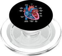 Diagrama de anatomía cardíaca Estudio de biología del Sistema Cardiovascular PopSockets PopGrip para MagSafe