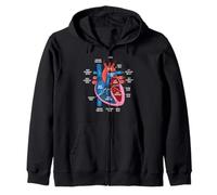 Diagrama de anatomía cardíaca Estudio de biología del Sistema Cardiovascular Sudadera con Capucha
