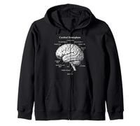 Diagrama de anatomía de la neurociencia del hemisferio Cerebral Sudadera con Capucha