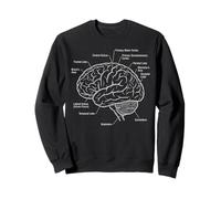 Diagrama de anatomía de neurociencia de áreas funcionales del Cerebro Sudadera