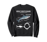 Diagrama de anatomía del Gran tiburón Blanco Ciencia del océano Gráfico Marino Sudadera