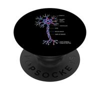 Diagrama de células cerebrales etiquetadas con anatomía de neuronas PopSockets PopGrip Adhesivo
