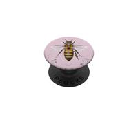 Diagrama de guía de Campo Vintage de anatomía de Abeja de Miel PopSockets PopGrip Adhesivo
