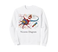 Diagrama de neuronas etiquetado con células nerviosas Sudadera
