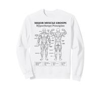 Diagrama Divertido del Entrenamiento del Levantamiento de Hipertrofia de los Grupos musculares del Gimnasio Sudadera