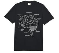 Diagrama etiquetado de neurociencia anatomía del Cerebro Humano Comfort Colors Adult Heavyweight T-Shirt