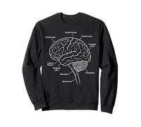 Diagrama etiquetado de neurociencia anatomía del Cerebro Humano Sudadera