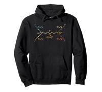 Diagrama Feynman Estudiante Profesor de Ciencias de Física Cuántica Sudadera con Capucha