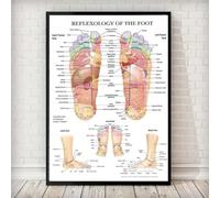 Diagrama Simple De Puntos De Acupuntura, Anatomía, Reflexología Podal, Póster Impreso, Arte De Pared, Pintura En Lienzo, Decoración Para El Hogar, Dormitorio Y Sala De Estar. 60X90Cm Sin Marco