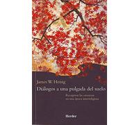 Diálogos a una pulgada del suelo: Recuperar las creencias en una época interreligiosa (SIN COLECCION)