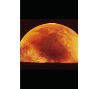 Dialogue with the Entity Vol.4