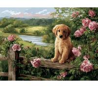 Diamante Adultos Kits Arte, Flores animales Kits de Pintura Diamante 5D Niños Principiantes, Bricolaje Redondo Completo Perforador Cristal Arte Cruz Costura, Decor Pared Hogar 70 x 90cm F-136