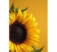 Diamante Adultos Kits Arte, Girasol de flores Kits de Pintura Diamante 5D Niños Principiantes, DIY Redondo Completo Perforador Cristal Arte Cruz Costura Artesanías, Decor Pared Hogar 100 x 130cm F-384