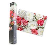 DIAMANTINY Artist 50x70 Bouquet 50x70-Attività Crystal Art, Diamond Painting Kit, Ramo de Flores, Multicolor, Large (Nice Group 96540)