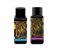 Diamine Tinta para pluma estilográfica, 30 ml, Aurora Borealis y morado imperial, paquete de 2