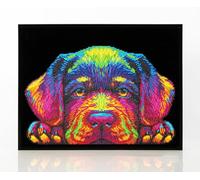 DIAMOND DOTZ 2594368 Original 5D Diamond Painting Set, Neon Hundewelpen, mit Neon Farben und Samt, DIY DiamantMalerei Bilder für Erwachsene und Kinder ab 12 Jahren Intermediate