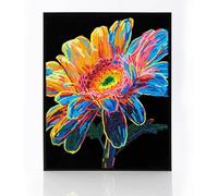 DIAMOND DOTZ 2594371 Original 5D Diamond Painting Set de Gerbera Neón, con colores neón y terciopelo, cuadro de pintura de diamantes DIY para adultos y niños a partir de 12 años, intermedio