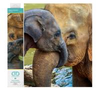 Diamond Dotz Baby Comfort Diamond Painting Kits para adultos - Kits de arte de diamantes Un kit de artesana creativo relajante con gemas de Dotz 15x