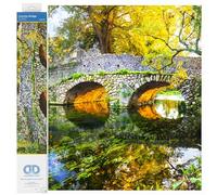 DIAMOND DOTZ DD12059 Kit de Pintura: intermedio, DD12, Sintético, Multicolor, 51.5 x 51.5cm