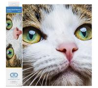 DIAMOND DOTZ DD6.029 - Kit de pintura de diamante, intermedio, DD6, belleza de ojos verdes, 35 x 27 cm