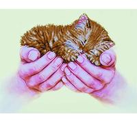 DIAMOND DOTZ ® - Gatito precioso, taladro parcial, puntos redondos, kits de pintura de diamantes de gato, arte de diamantes de gato, gato de arte de diamantes, gato de pintura de diamantes, kits de