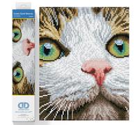 DIAMOND DOTZ - Kits de pintura de diamantes redondos ""Belleza de ojos verdes"", con taladro completo, para adultos, con gemas, 35 x 25 cm