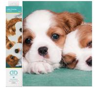 DIAMOND DOTZ ® - Little Champs, Full Drill, Square Dotz, Diamond Art Dog, Kits de Pintura de Diamantes de Perro, Arte de Diamantes de Cachorro, Pintura de Diamantes de Animales, Arte de Diamantes de