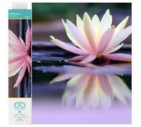 DIAMOND DOTZ Seerose Squares DQ8 Kit intermedio, Reflections, 41 x 31 cm