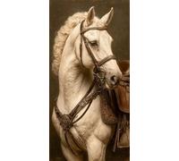 Diamond Painting Adultos 100x50cm, 5D DIY Diamond Painting Caballo, Dibujos con Diamantes Animal Kit Punto de Cruz Manualidades Adultos, Pintura Diamante para Wall art Decoracion Hogar Regalo DZSH4975